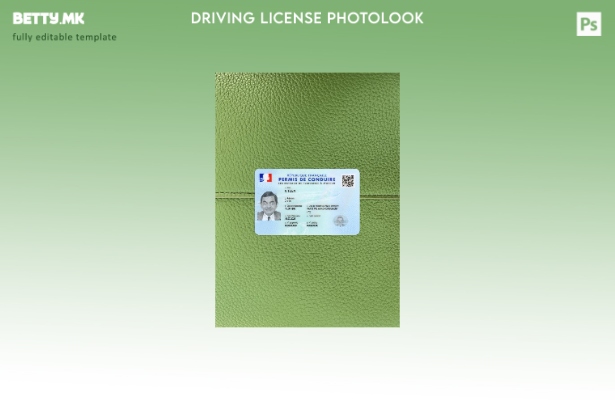 Модерен стил Француска возачка дозвола претставува преден шаблон со фото изгле 1